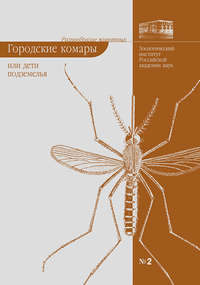 Городские комары, или «Дети подземелья»