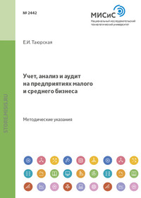 Учет, анализ и аудит на предприятиях малого и среднего бизнеса. Методические указания к проведению практических занятий