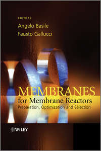 Membranes for Membrane Reactors. Preparation, Optimization and Selection