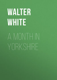 A Month in Yorkshire