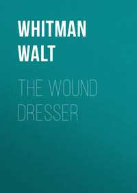 The Wound Dresser