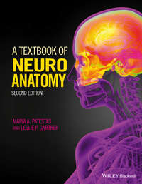 A Textbook of Neuroanatomy