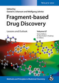 Fragment-based Drug Discovery. Lessons and Outlook