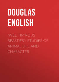 &quot;Wee Tim&apos;rous Beasties&quot;: Studies of Animal life and Character