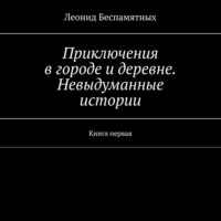 Приключения в городе и деревне. Невыдуманные истории. Книга первая