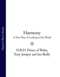 Harmony: A New Way of Looking at Our World