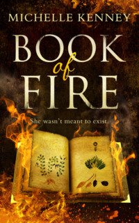 Book of Fire: a debut fantasy perfect for fans of The Hunger Games, Divergent and The Maze Runner