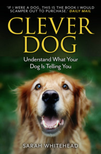 Clever Dog: Understand What Your Dog is Telling You