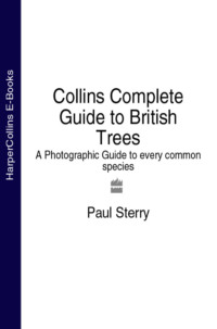 Collins Complete Guide to British Trees: A Photographic Guide to every common species