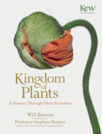 Kingdom of Plants: A Journey Through Their Evolution