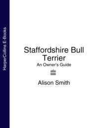 Staffordshire Bull Terrier: An Owner’s Guide