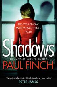 Shadows: The gripping new crime thriller from the #1 bestseller