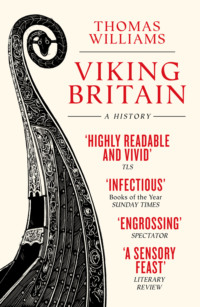 Viking Britain: A History