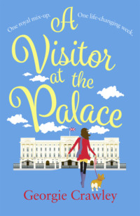 A Visitor at the Palace: The perfect feel-good royal romance to read this summer