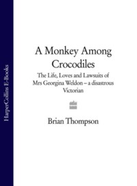 A Monkey Among Crocodiles: The Life, Loves and Lawsuits of Mrs Georgina Weldon – a disastrous Victorian [Text only]