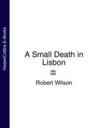 A Small Death in Lisbon