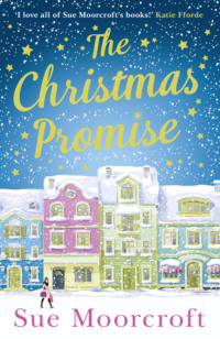 The Christmas Promise: The cosy Christmas book you won’t be able to put down!