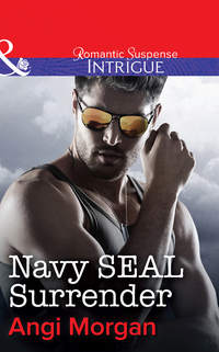 Navy SEAL Surrender