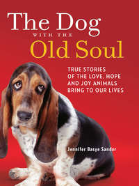 The Dog with the Old Soul