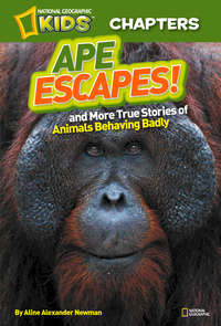 National Geographic Kids Chapters: Ape Escapes: and More True Stories of Animals Behaving Badly