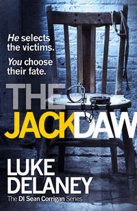 The Jackdaw