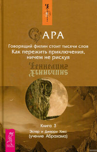 Сара. Книга 3. Говорящий филин стоит тысячи слов. Как пережить приключения, ничем не рискуя