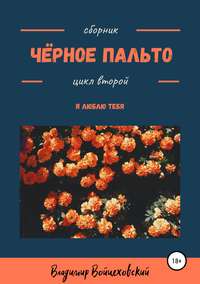 Чёрное пальто. Я люблю тебя. Сборник стихотворений. Цикл второй