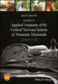 King's Applied Anatomy of the Central Nervous System of Domestic Mammals