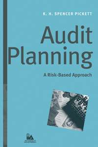 Audit Planning