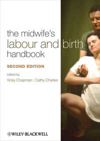 The Midwife's Labour and Birth Handbook