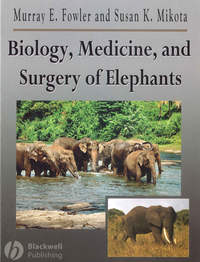 Biology, Medicine, and Surgery of Elephants