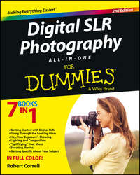 Digital SLR Photography All-in-One For Dummies