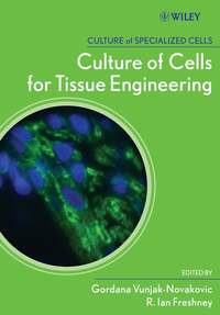 Culture of Cells for Tissue Engineering