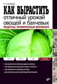 Как вырастить отличный урожай овощей и бахчевых. Рецепты, проверенные временем