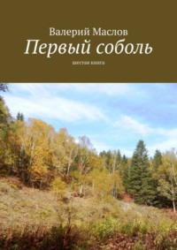 Первый соболь. Шестая книга