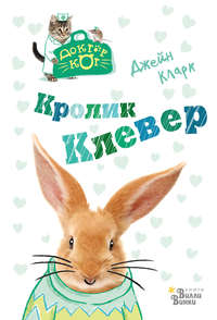 Кролик Клевер