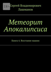 Метеорит Апокалипсиса. Книга 4. Восстание машин