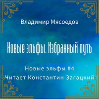 Новые эльфы. Избранный путь