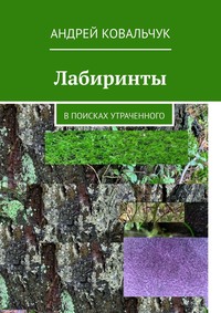 Лабиринты. В поисках утраченного