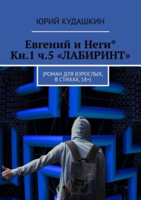 Евгений и Неги* Кн.1 ч.5 «ЛАБИРИНТ». Роман для взрослых, в стихах