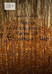 Магия Бессмертия. Часть 34: Мерцающий Мир