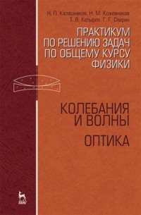 Практикум по решению задач по общему курсу физики. Колебания и волны. Оптика