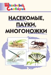 Насекомые, пауки, многоножки. Начальная школа