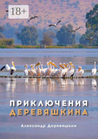 Приключения Деревяшкина