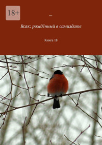 Всяк: рождённый в самиздате. Книга 18