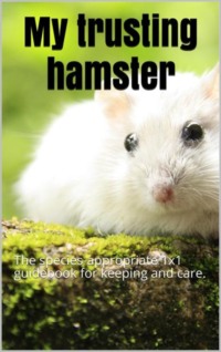 My trusting hamster