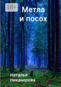 Метла и посох