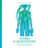 Лимфа и долголетие. Путь к укреплению иммунитета и предупреждению болезней