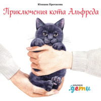 Приключения кота Альфреда