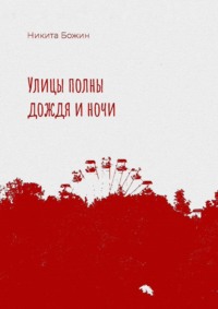 Улицы полны дождя и ночи